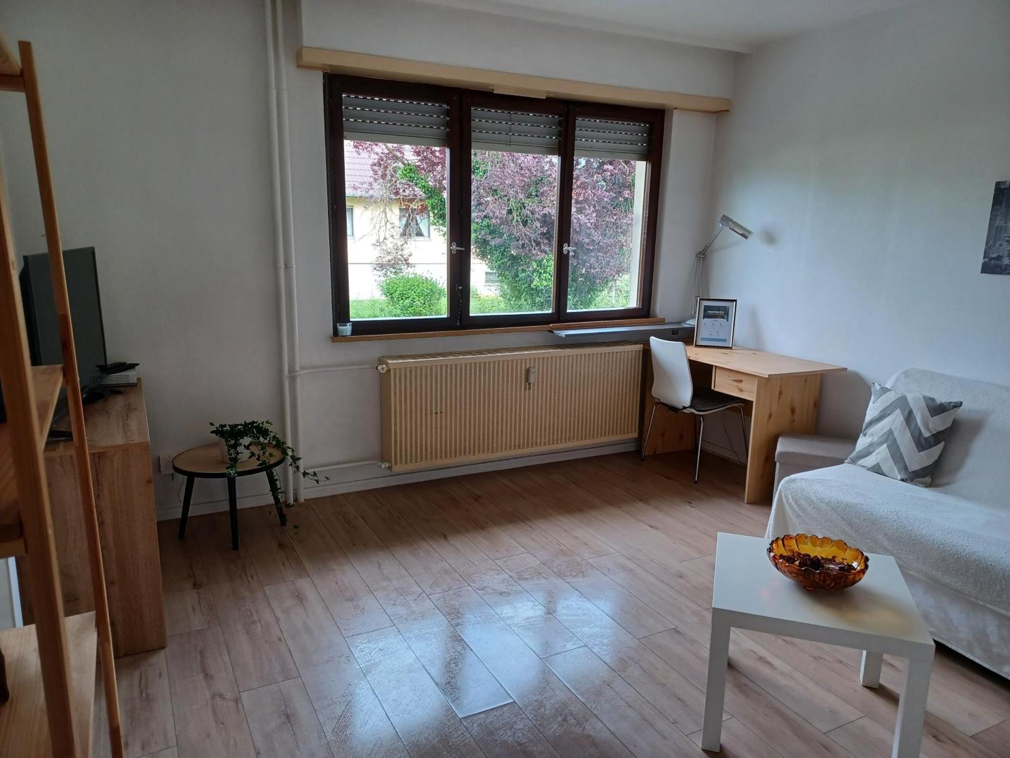 Studio Rdc Calme Avec Parking Ferme Pres Autoroute Et Tram C Мюлуз Екстер'єр фото
