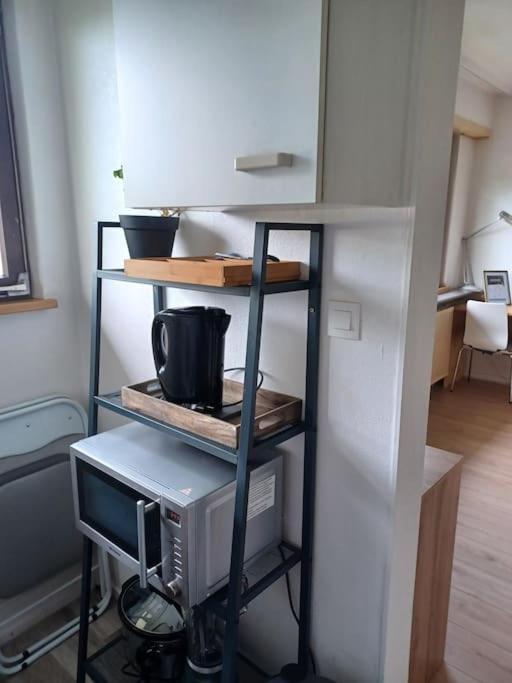 Studio Rdc Calme Avec Parking Ferme Pres Autoroute Et Tram C Мюлуз Екстер'єр фото